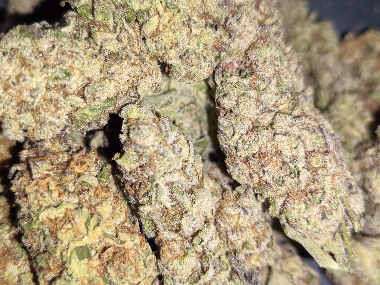 Brisker ๐ท๐คข(price per 5 grams)