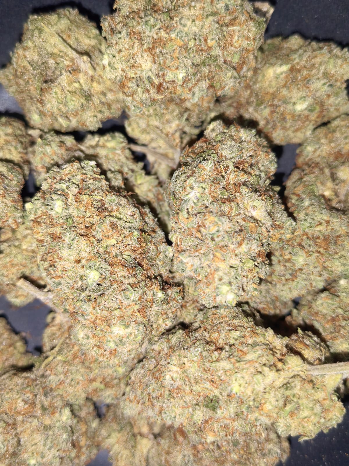 DJ Short Blueberry 🎛️🎚️(price per gram)