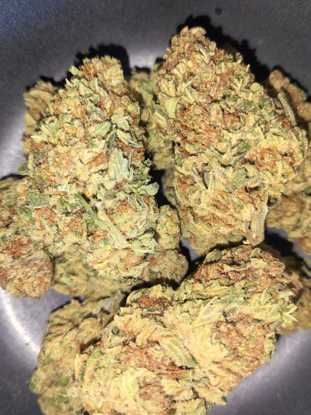 GMO 🍪🧄(price per 10 grams)