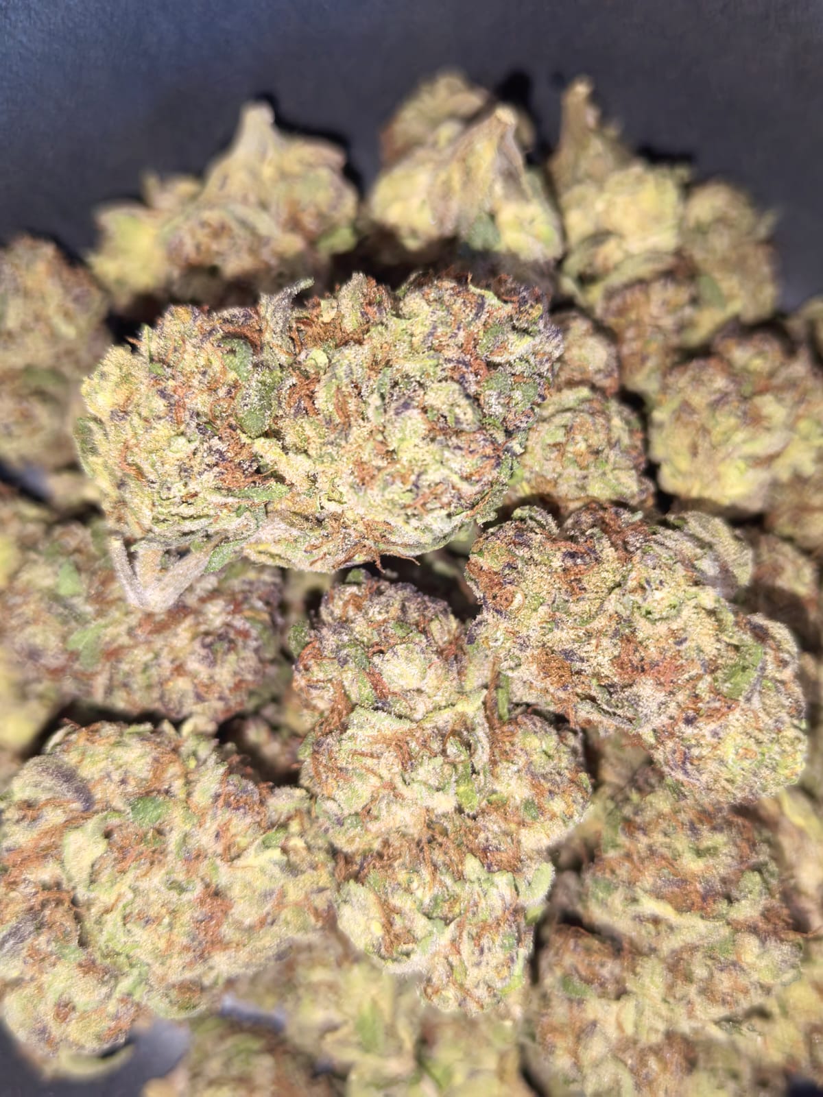 Gastro POP 🍾🤭(price per 5 grams)