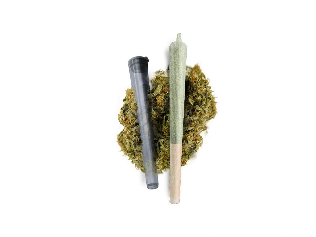 Orange Kush Cake🧡🍊 (2 x 1 gram pre roll) - TheGreenRoom