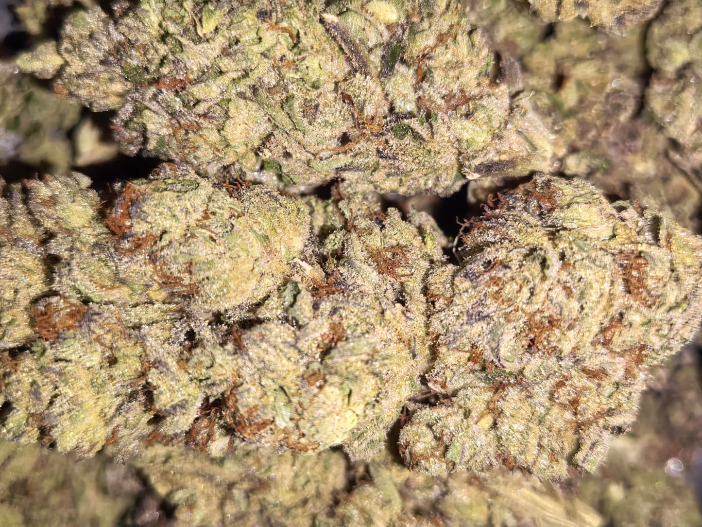 Goo Stank 😷🤢(price per 10 grams)