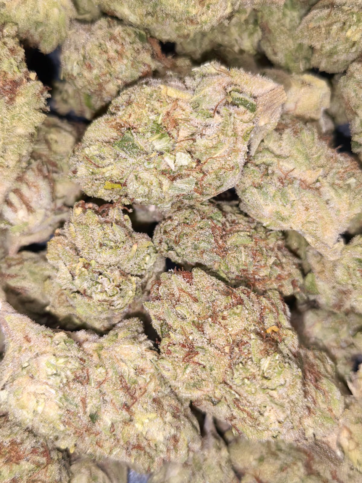 Kongs Krush 🦍👊🦍(price per 2 grams)