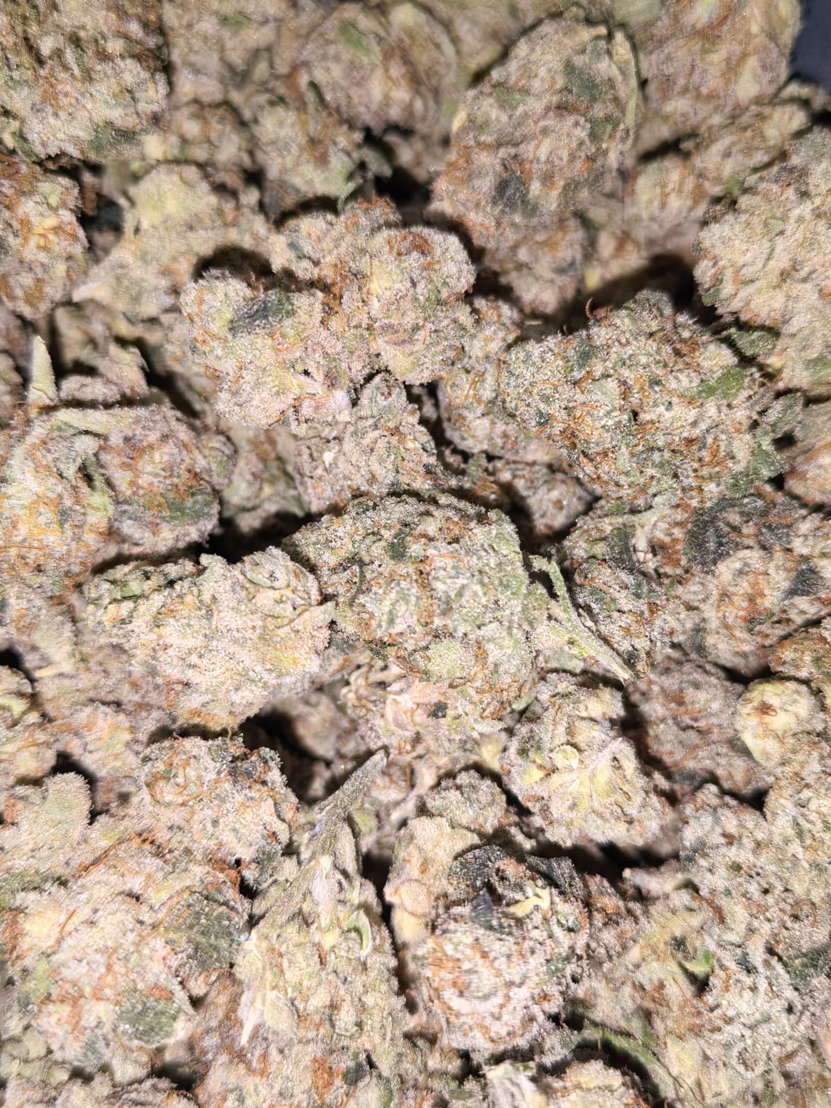 Lit Pineapple🍍🍍(PopCorn) (price per 2 grams)