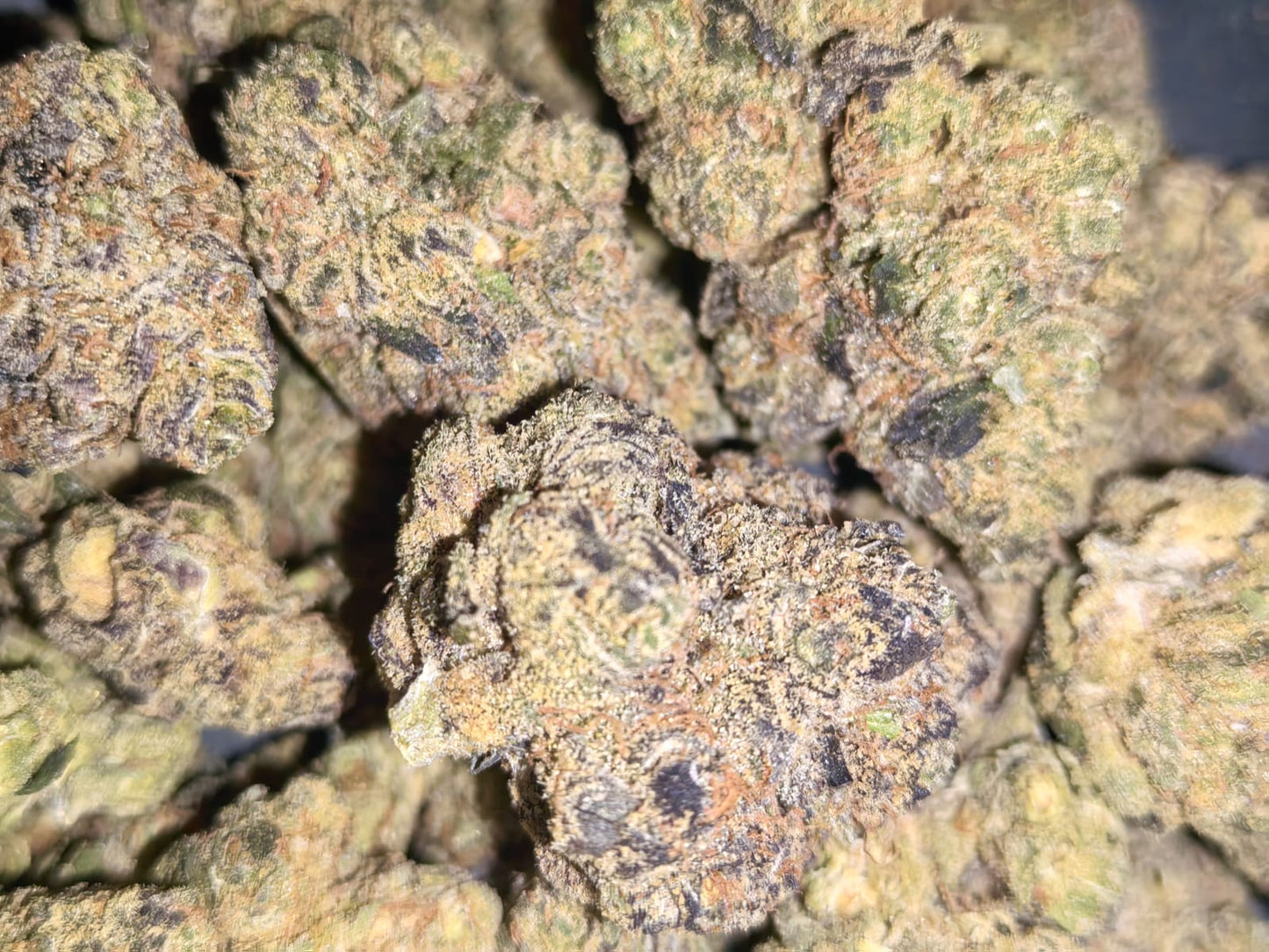 Purple Zkittles ๐๐ฃ๐ช(price per 5 grams)