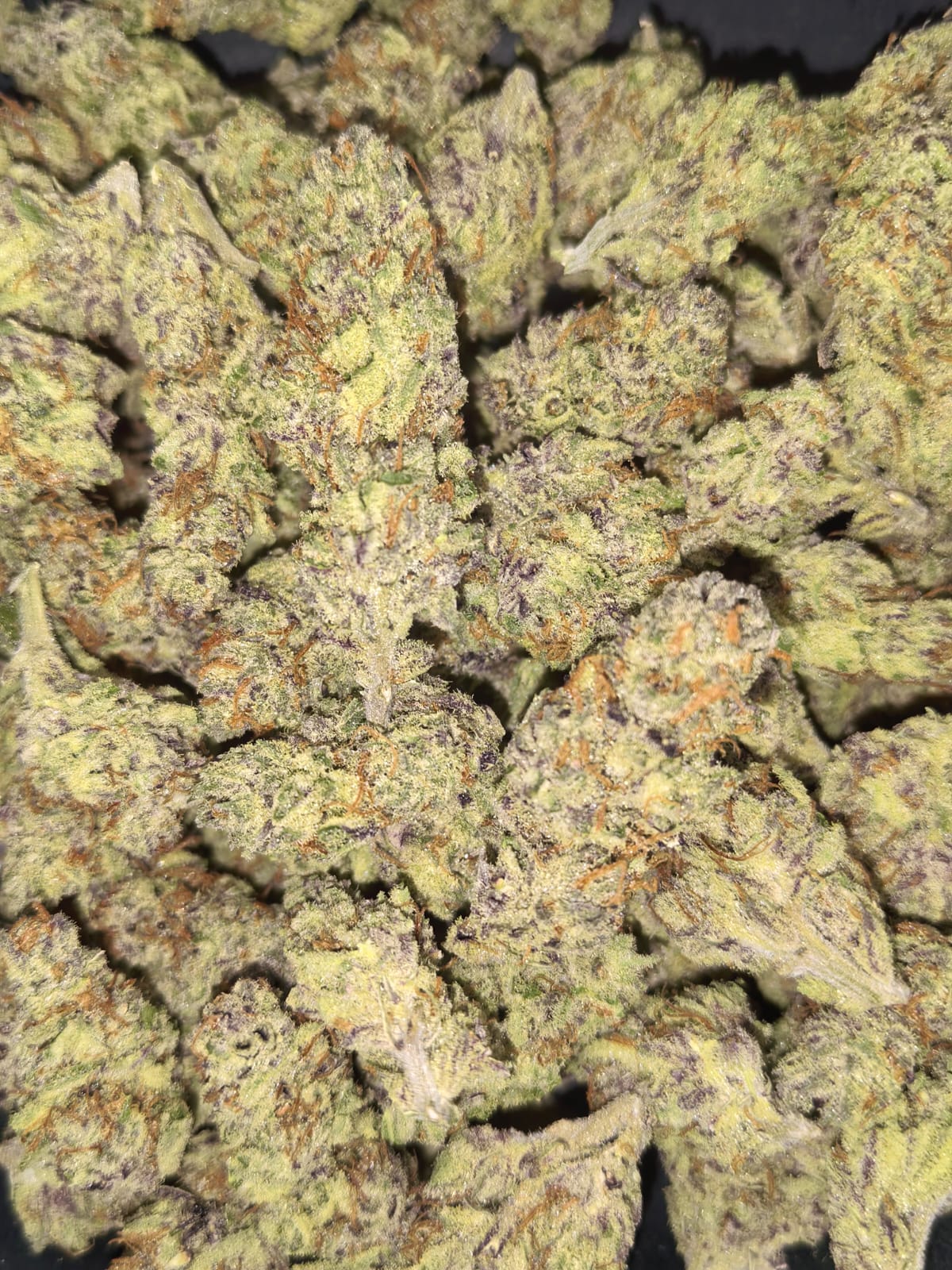 Rainbow Royal 🌈🌈 (price per 10 grams)