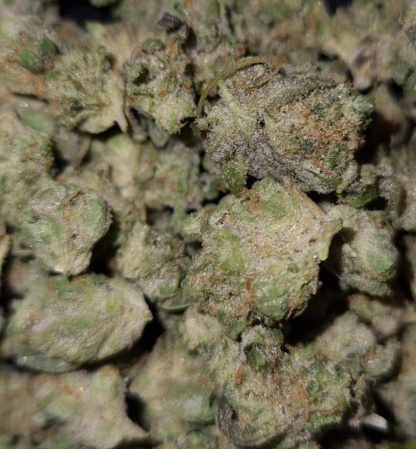 Banana Cake 🍪 (PopCorn) (price per 5 grams) - TheGreenRoom
