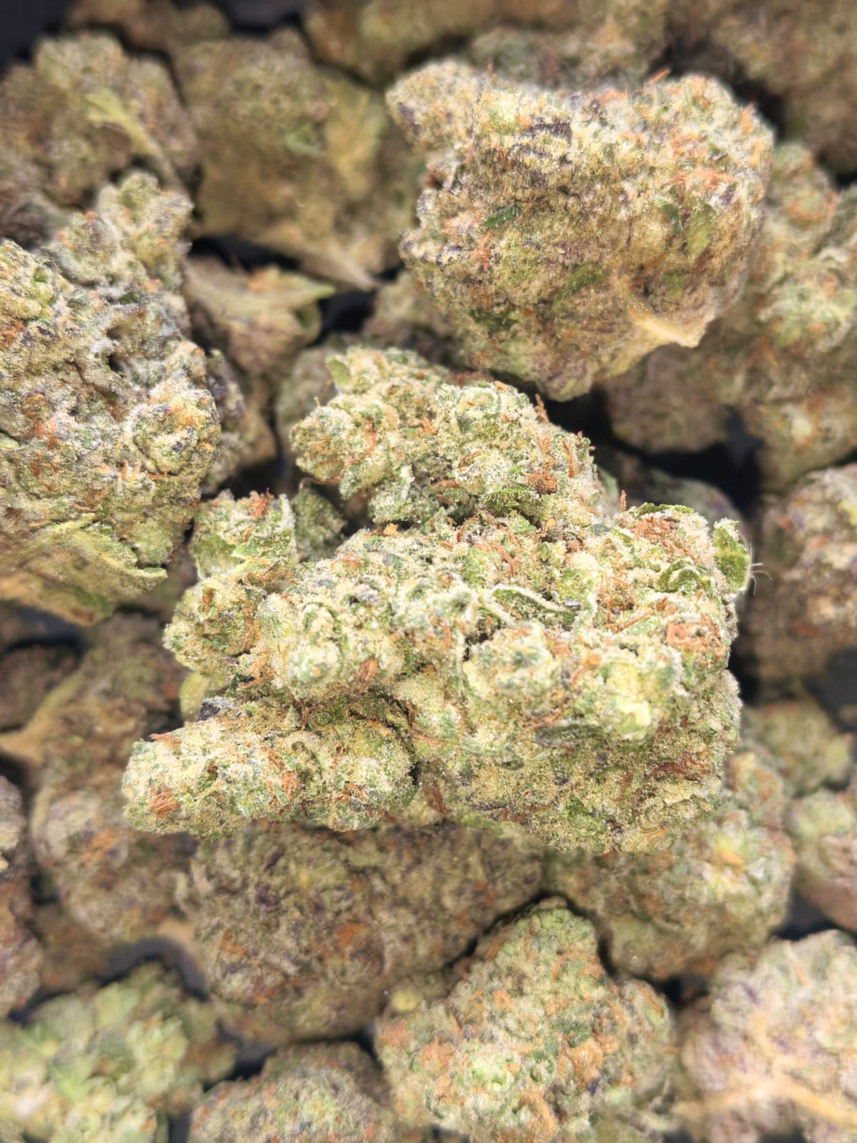 Gary Payton ๐๐คพโโ๏ธ(price per 10 grams)