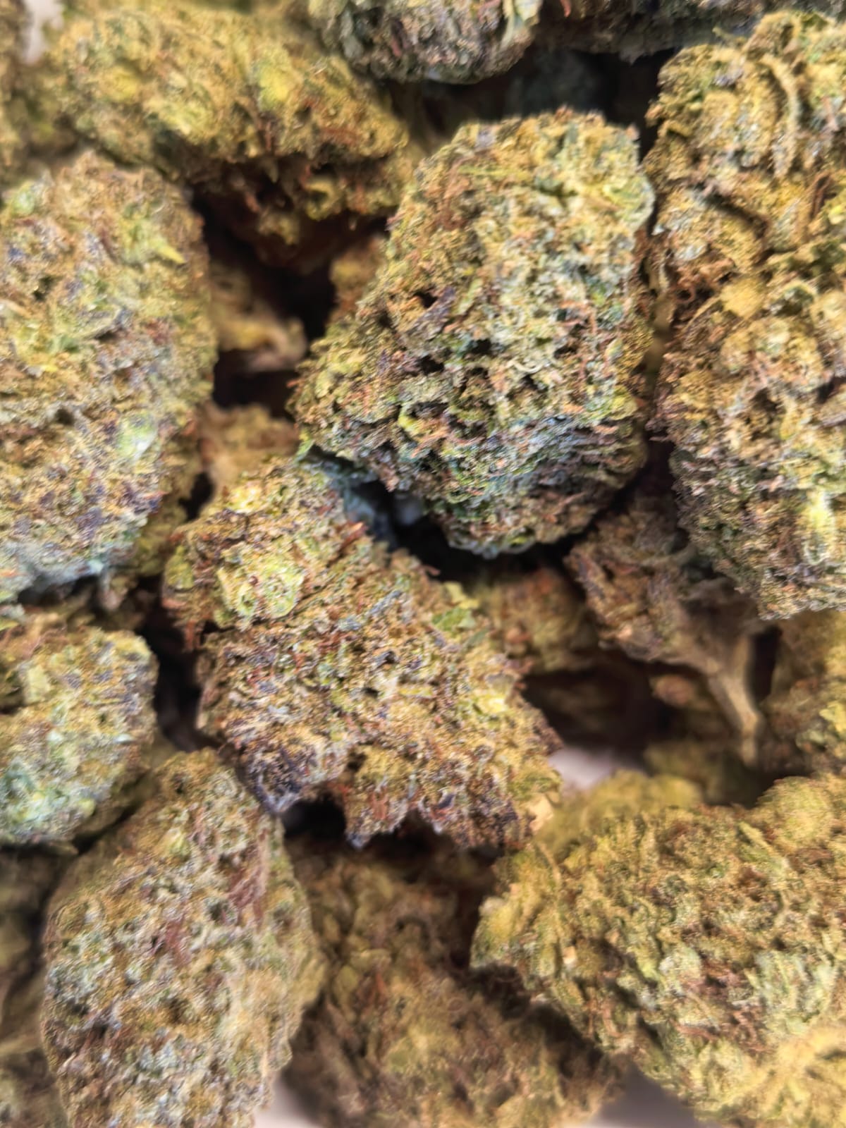 Lemon Cherry Gelato ๐๐ (price per 10 grams)