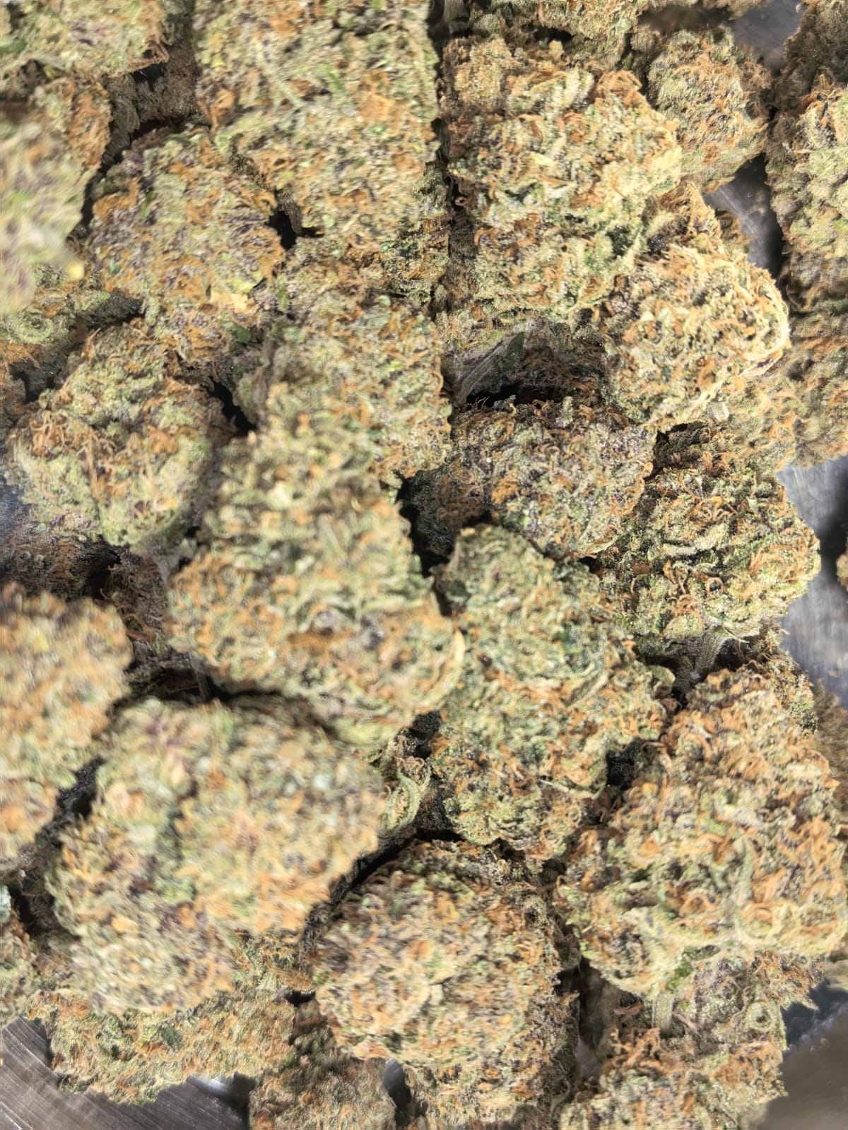 Fruit King ๐๐๐(price per 5 grams)
