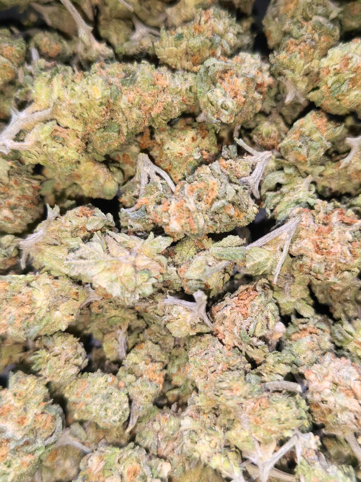 Fruit King 👑🍐🍊(PopCorn)(price per 2 grams)