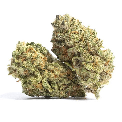 Premium Indoor Specials