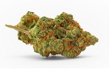 Premium Indoor