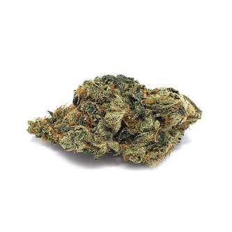 Premium GreenHouse