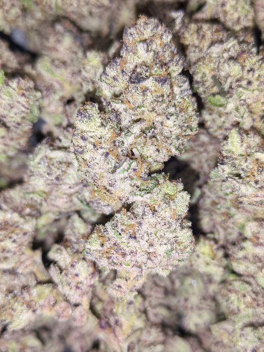 Animal Tsunami🐇🦝🦩(price per 5 grams)