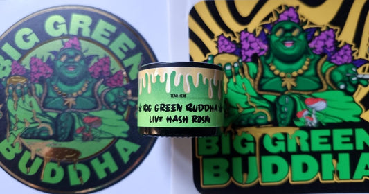 Big Green Buddha - Indoor LIVE Hash Rosin (Culd Cured) 🤤🥵 (GMO x Animal Cookies) - TheGreenRoom