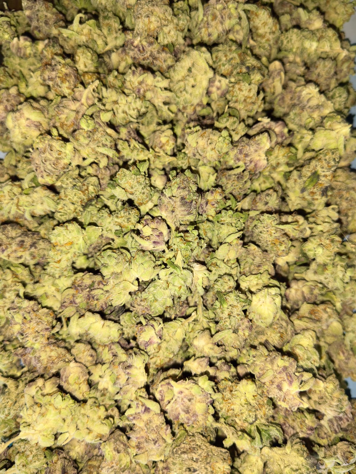 Biscotti 🕴️ (PopCorn) (price per 2 grams)
