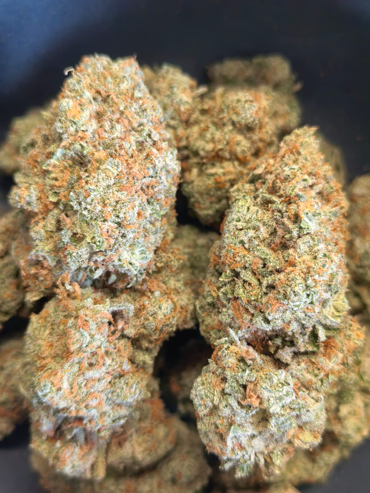 Bubblegum Breath 🍬👄(price per gram)