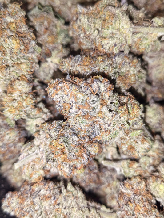 Colorado Nightshifter 🌃🌘 (price per 10 grams)