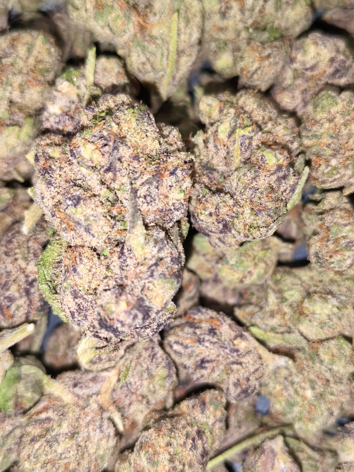 Diddy Lotion 🧴🧴(price per 2 grams)