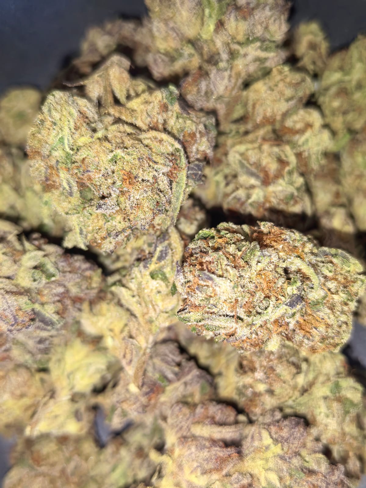 Divine Storm ⛈️⚡(price per 5 grams)