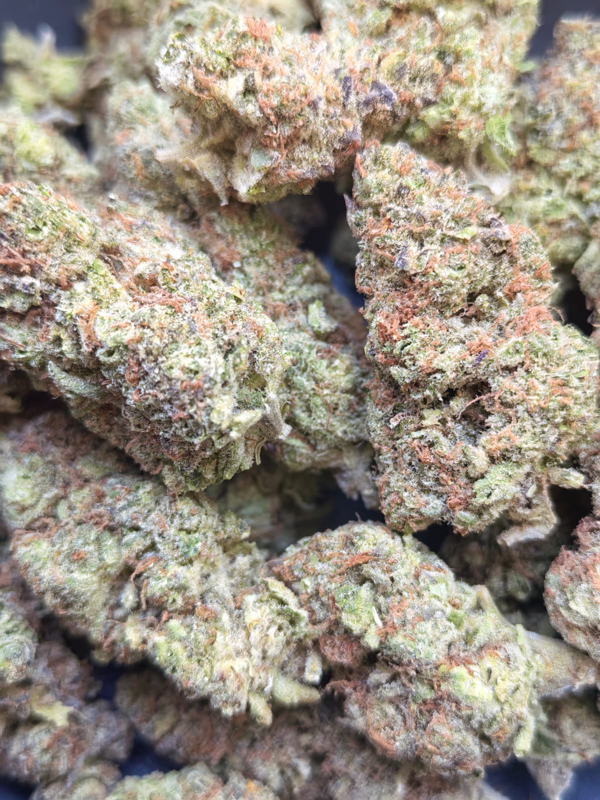 Dom Perignon🤡👽(price per 2 grams)