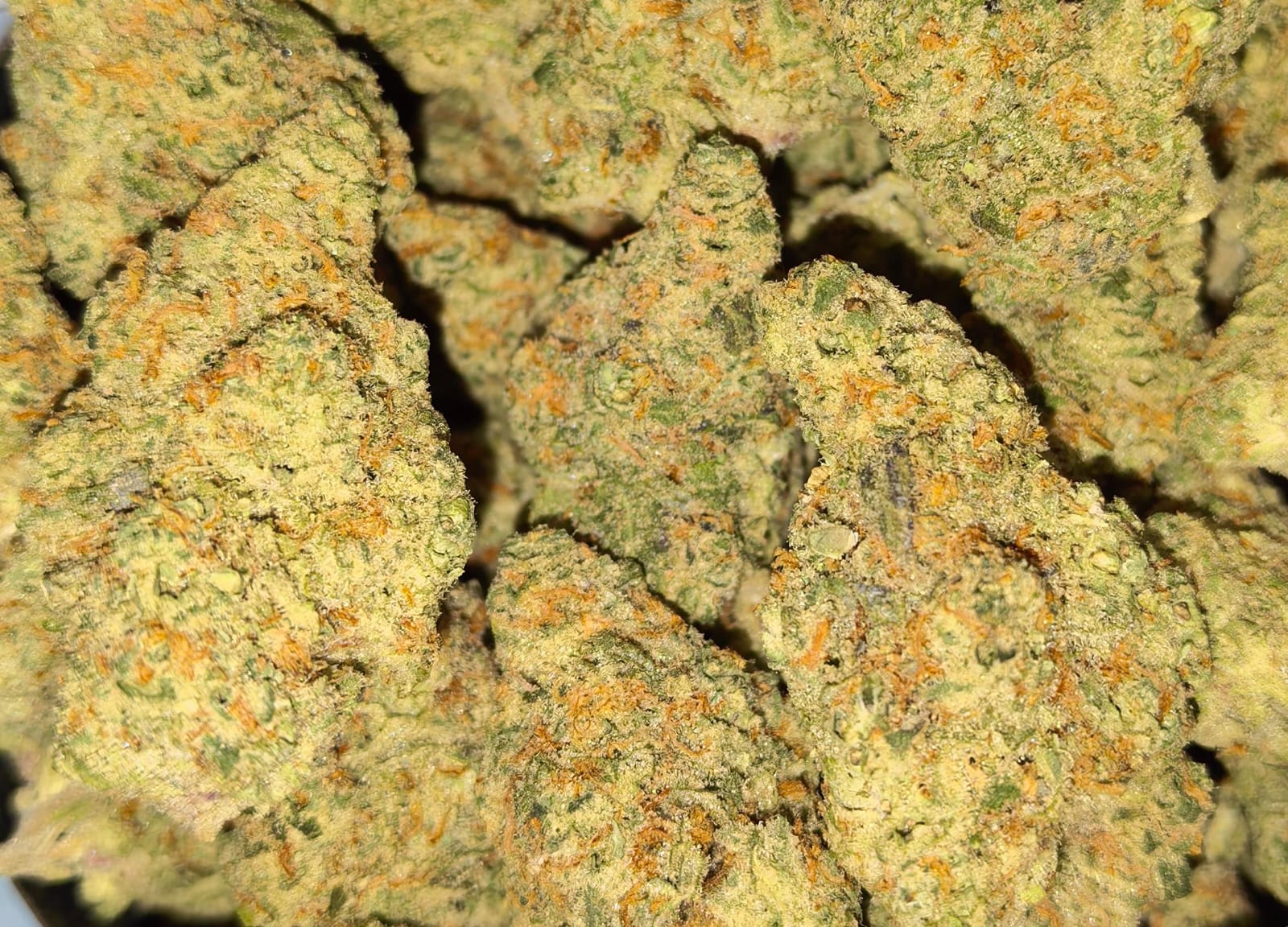 Forbidden Fruit 🍉🍐🥝(price per gram) - TheGreenRoom
