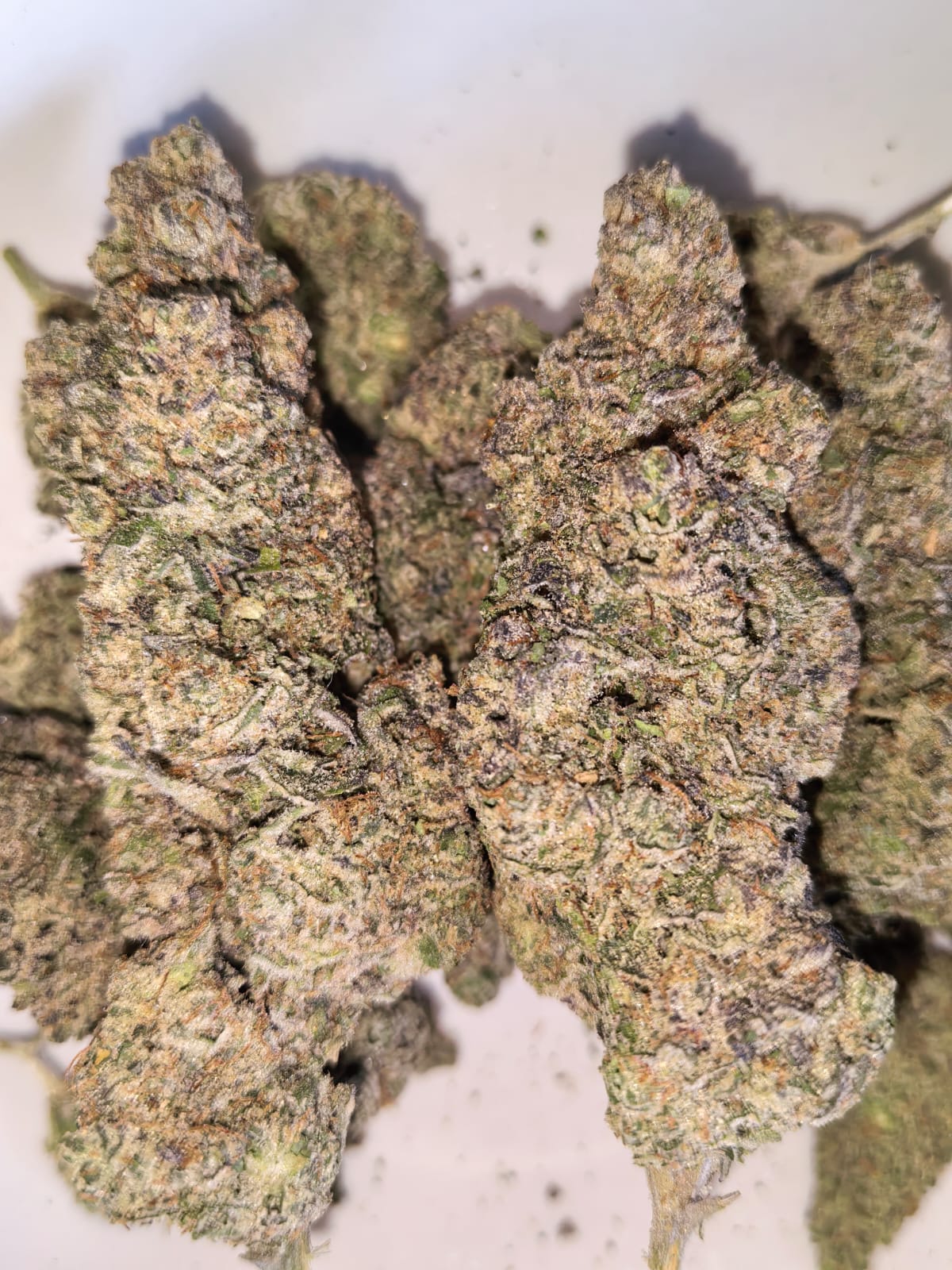Triple Cheese 🧀 🧀 🧀 (price per 5 grams)