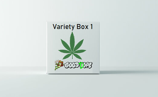 Indoor Variety Box 1 📦💝 (10g Indoor-Mixed) - TheGreenRoom