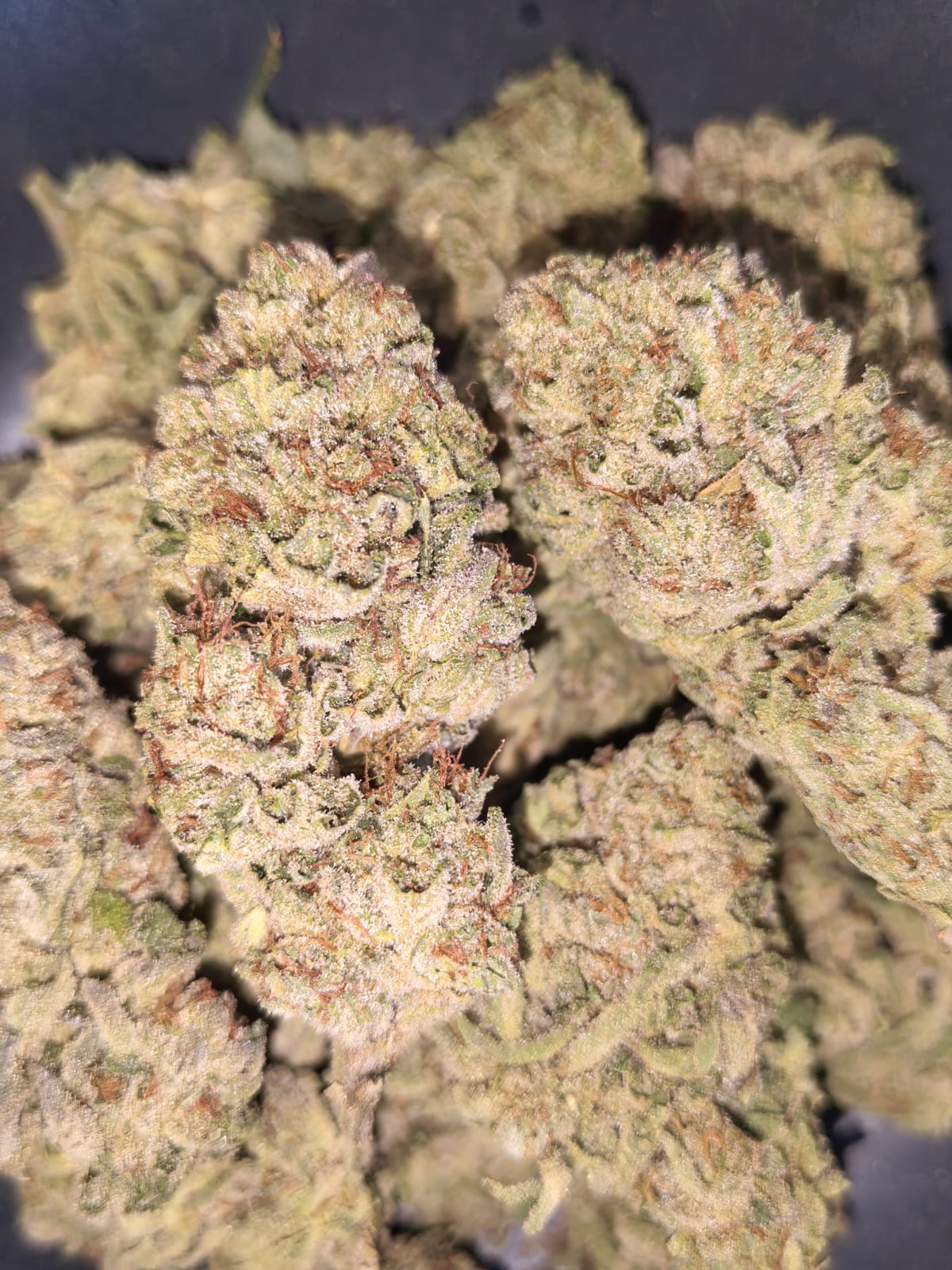 Jungle Diamonds 🌴💎 (price per 5 grams)