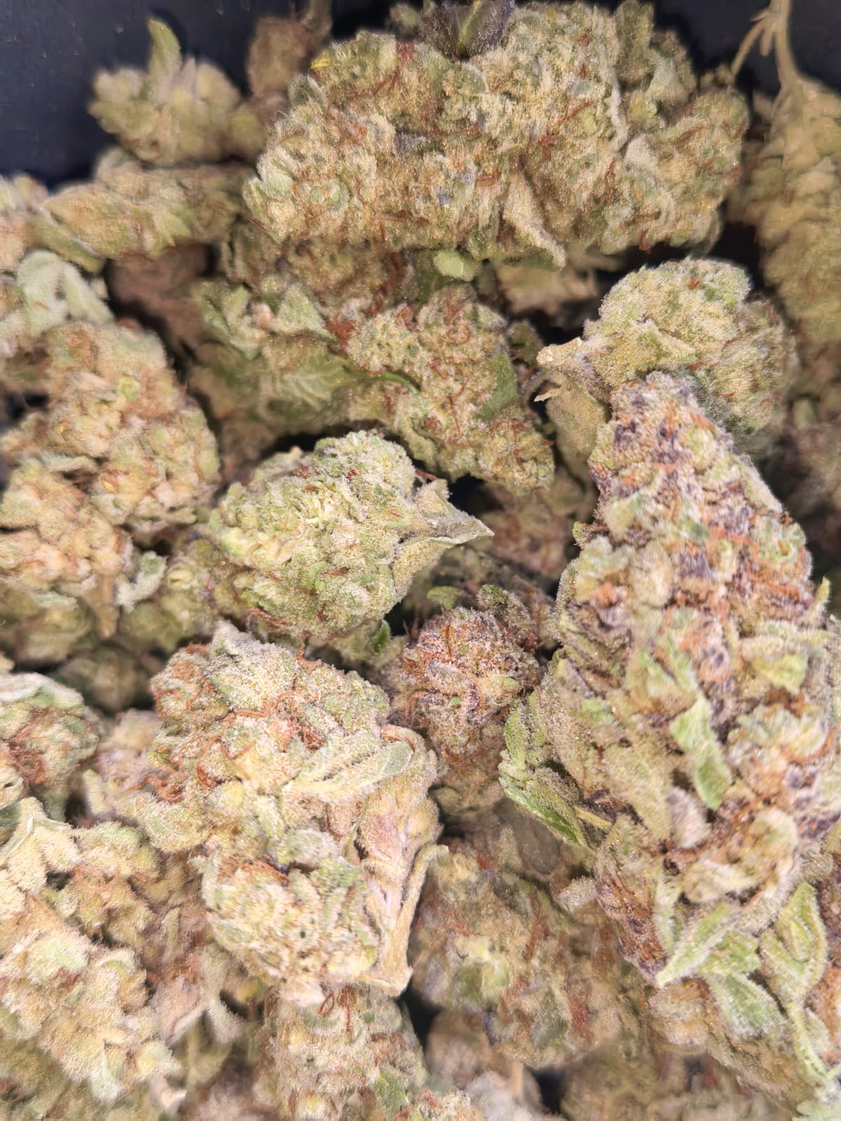 Kush Mints🟢🟩(price per 5 grams)