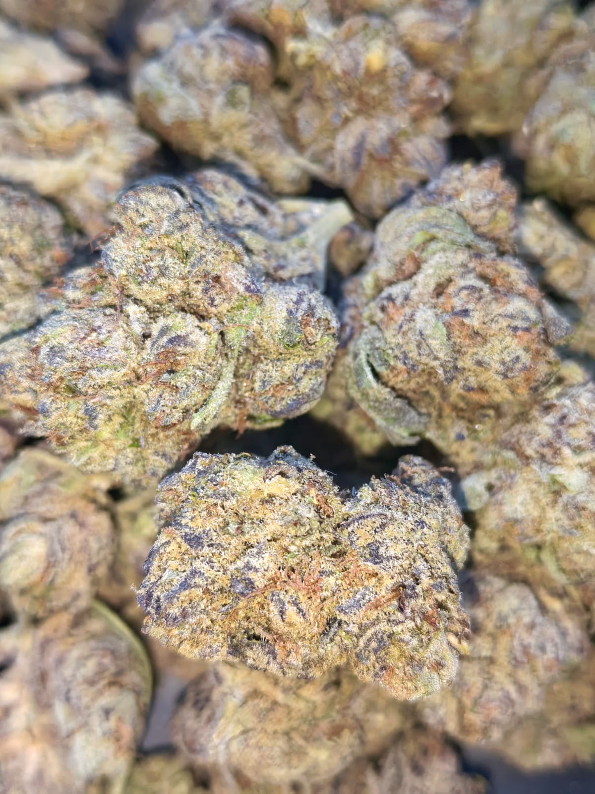Kush Mints🟢🟩(price per 5 grams)