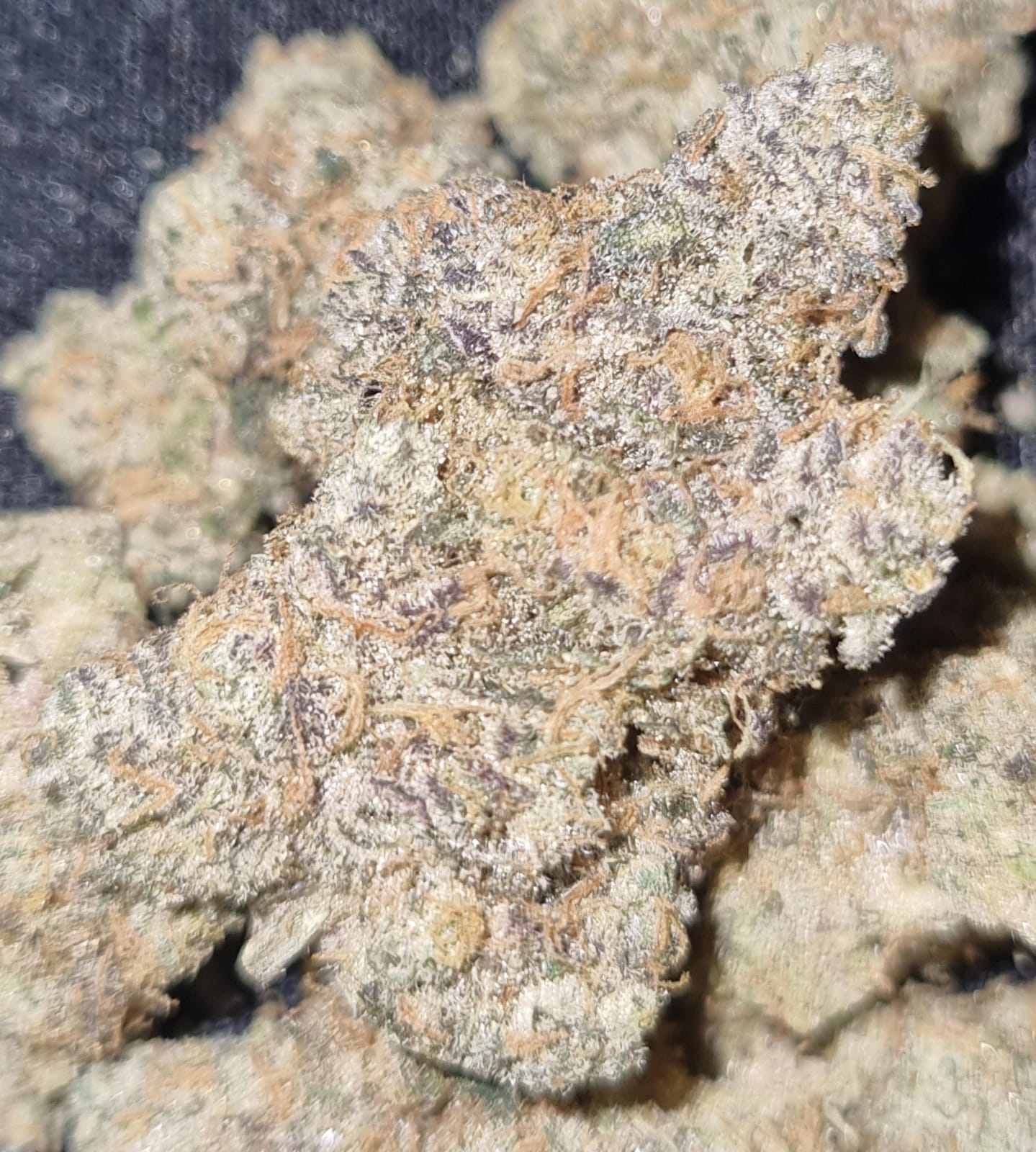 MAC v2 👽 🍪 (price per 5 grams) - TheGreenRoom