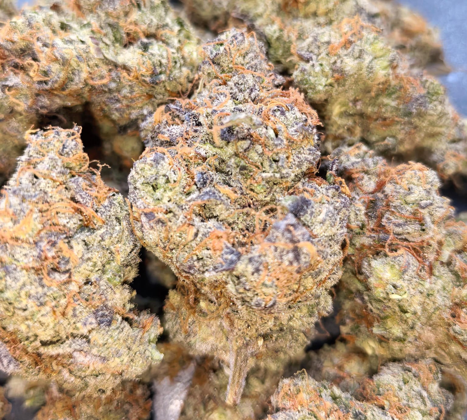 Slow Motion Potion⚗️👨‍🔬 (price per 5 grams) - TheGreenRoom