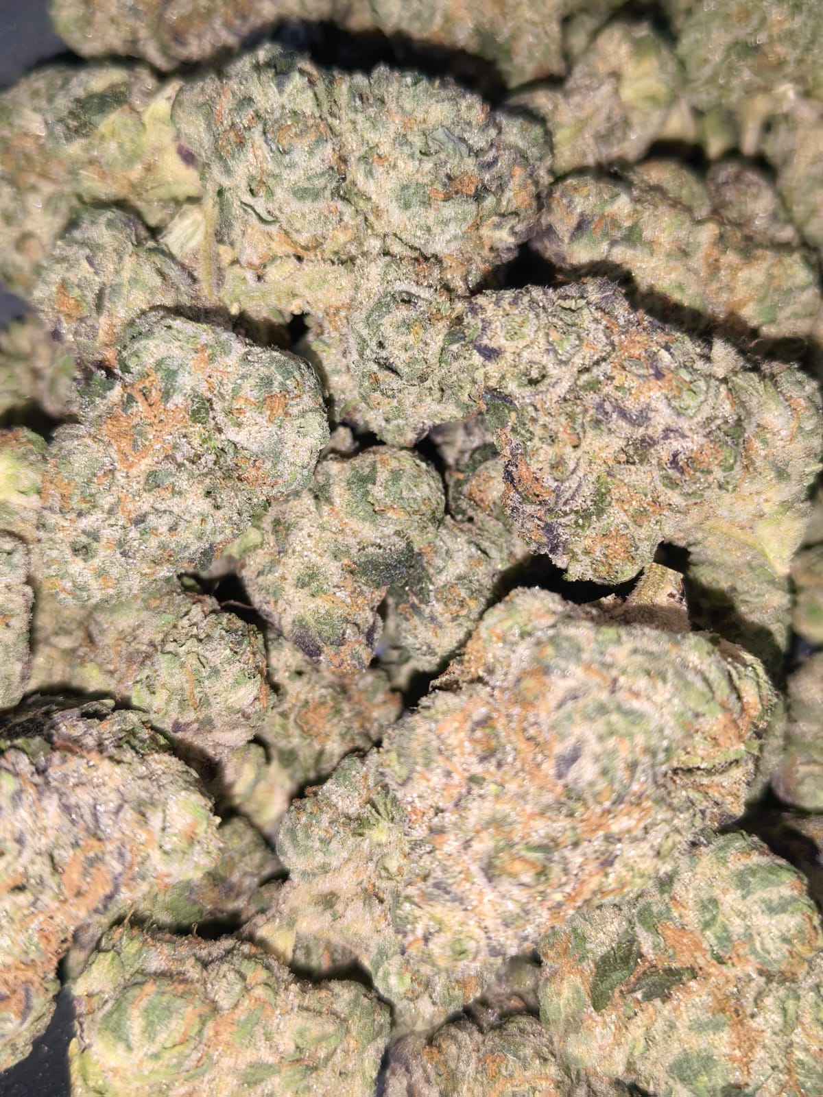 Stardawg 🌌🌠(price per 5 grams)