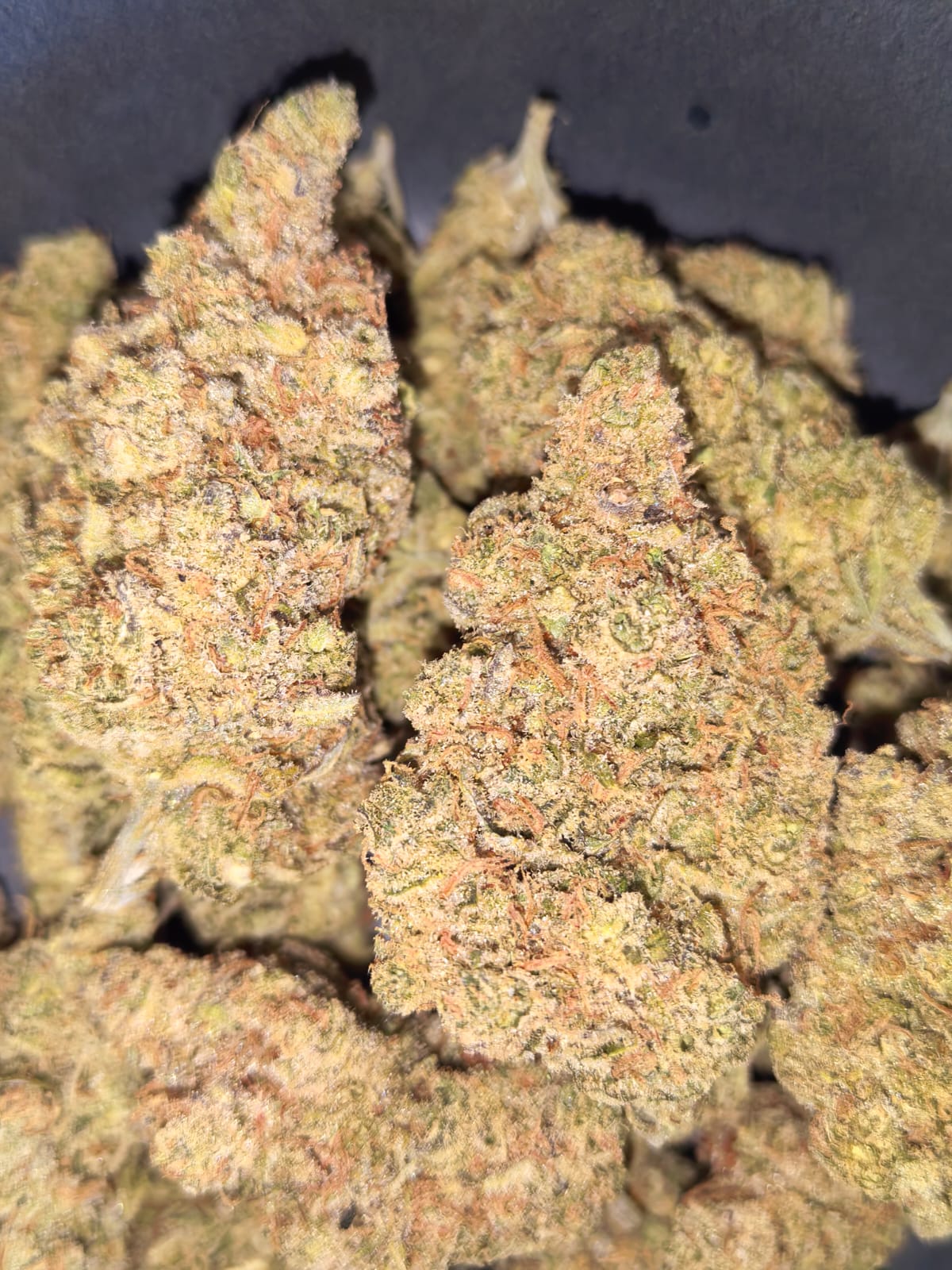 Tropicana Haze🏖️🏝️🍍(price per 10 grams)