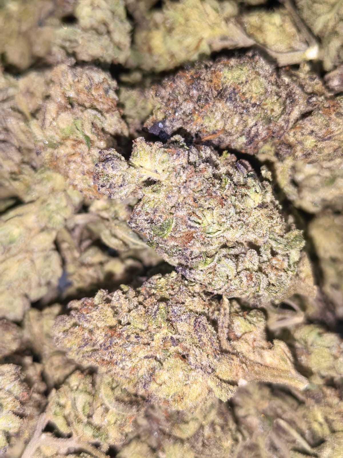 Dragon Ball 🐉🐉 (price per 10 grams)