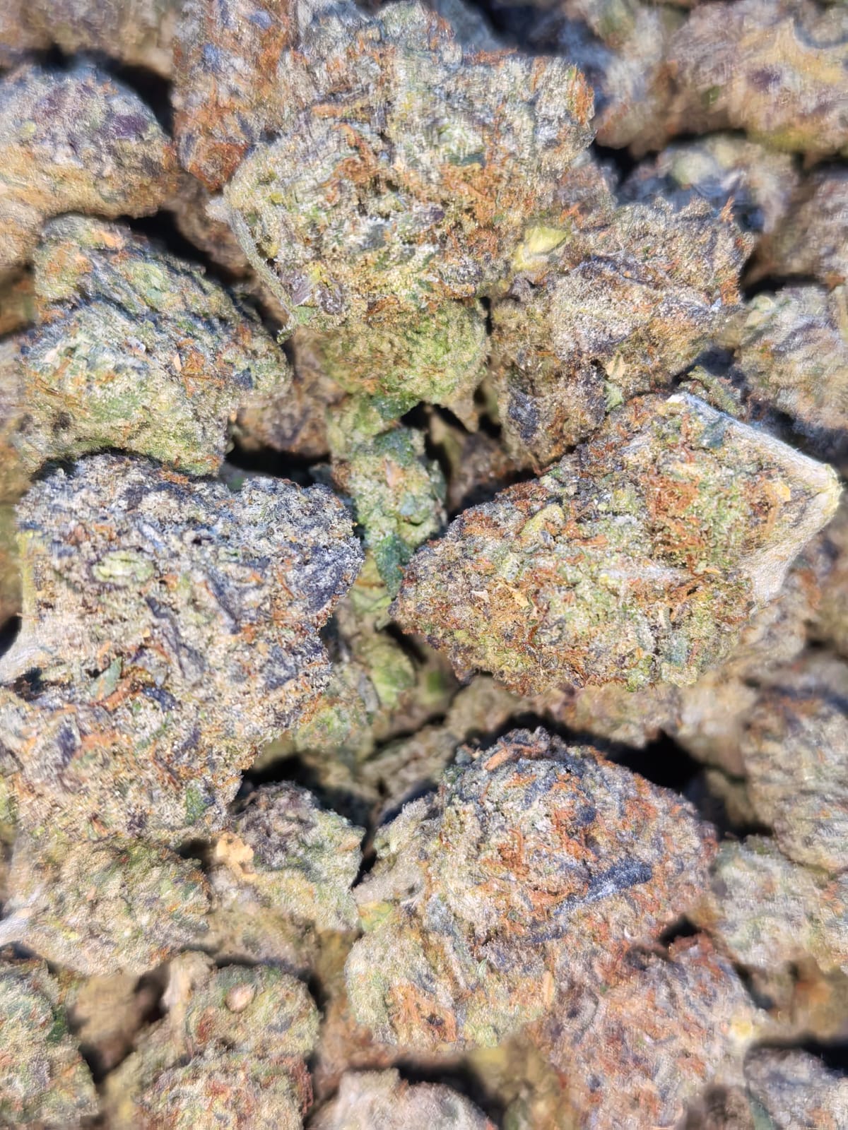 Greasy Runtz (PopCorn) 👾👾(price per 5 grams)