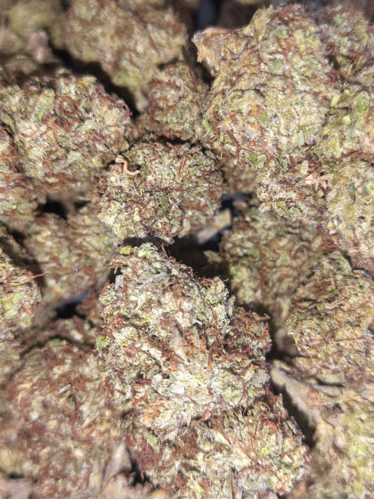 Colorado Nightshifter  GH🌃🌘 (price per 10 grams)