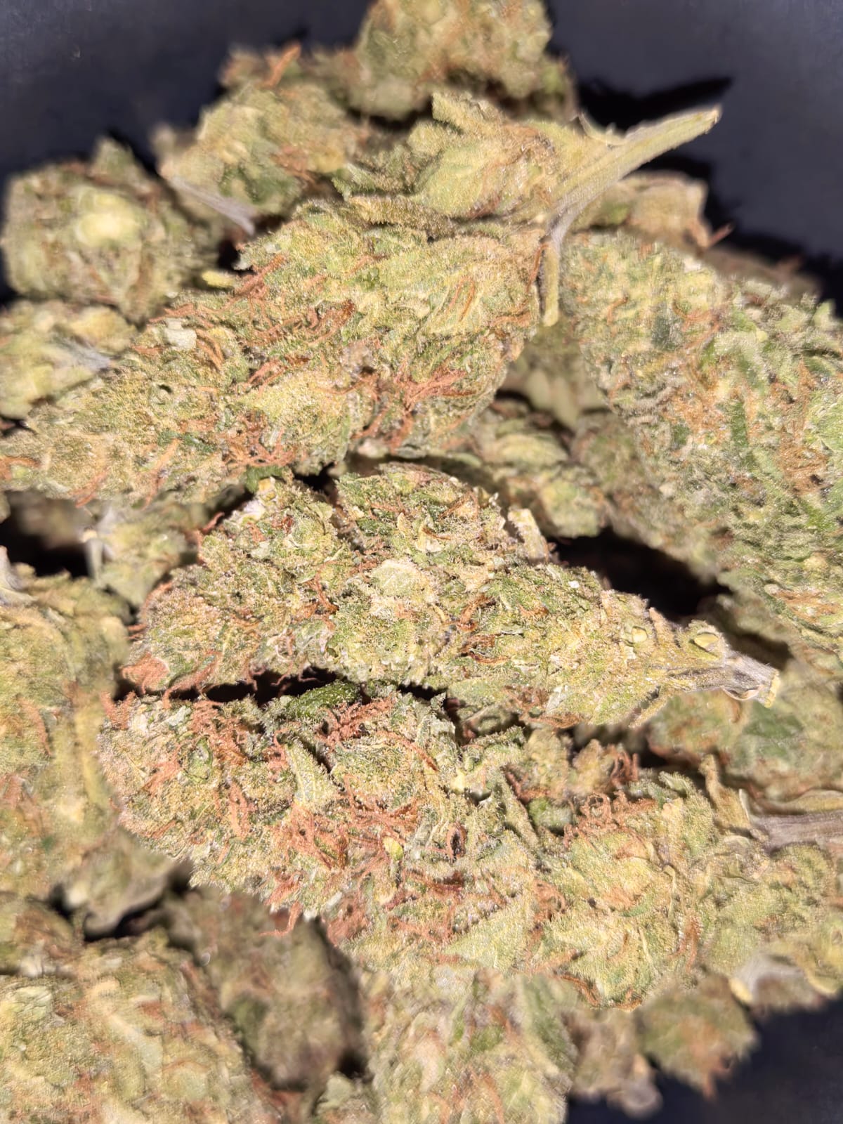 Cheese🧀🐭(price per 10 grams)