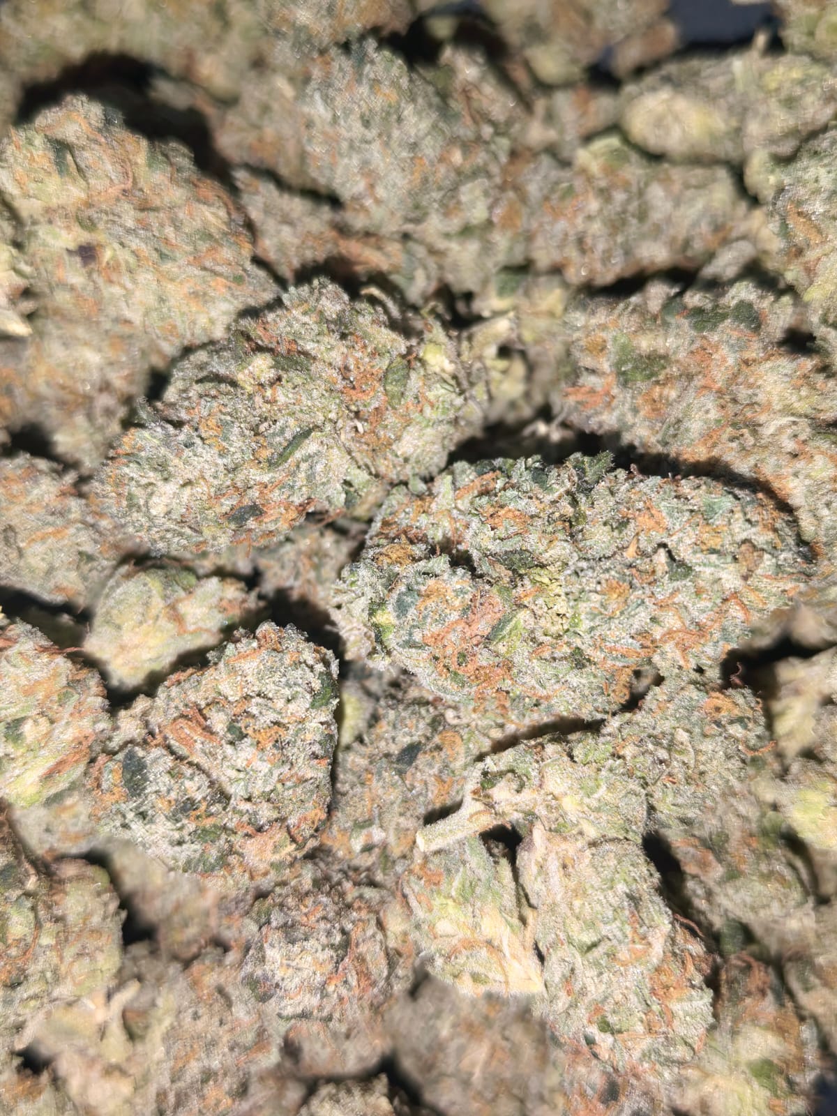 Terple🖤✴️(PopCorn)-(Green Door) (price per 2 grams)