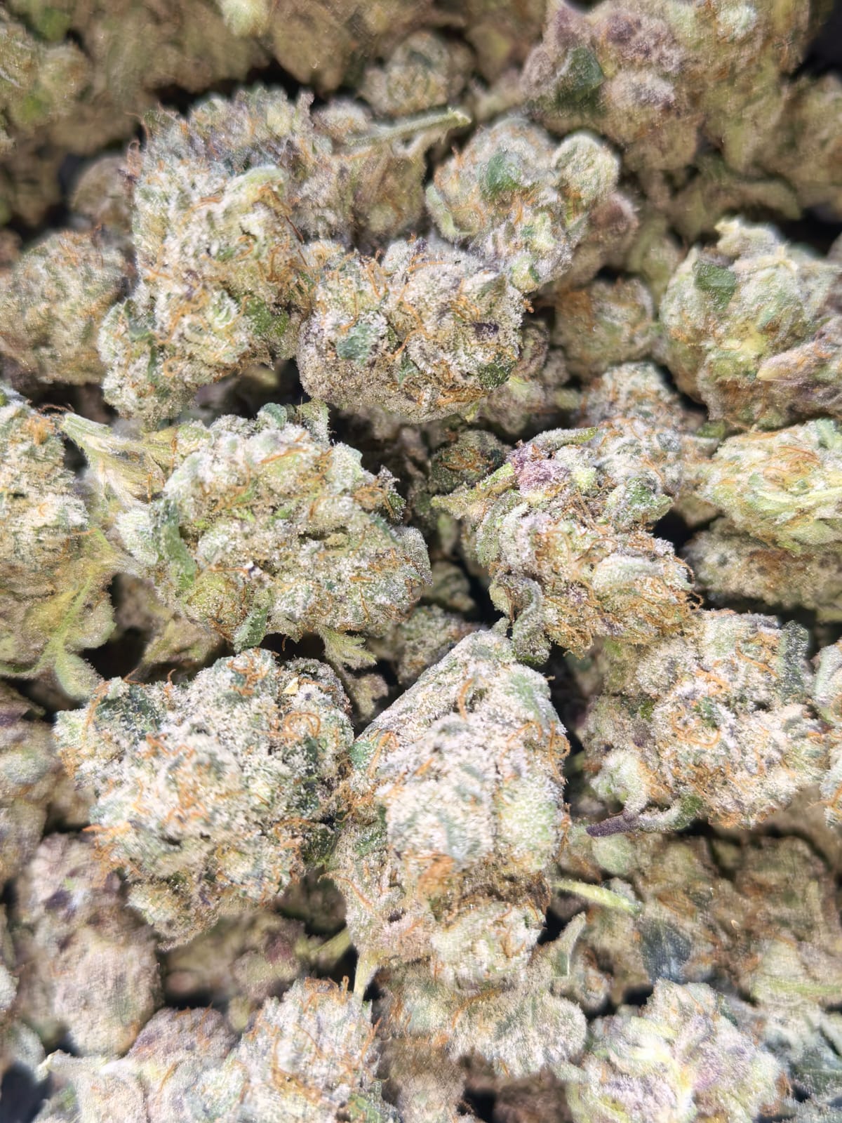Neon Punch👊👊 (PopCorn)(price per 5 grams)