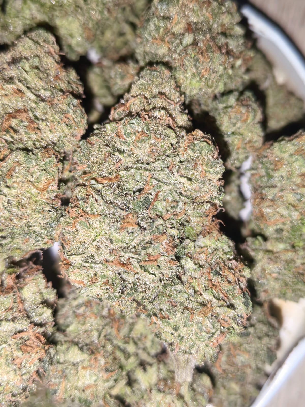 Big Buddha Cheese🧀 👑 (price per gram)