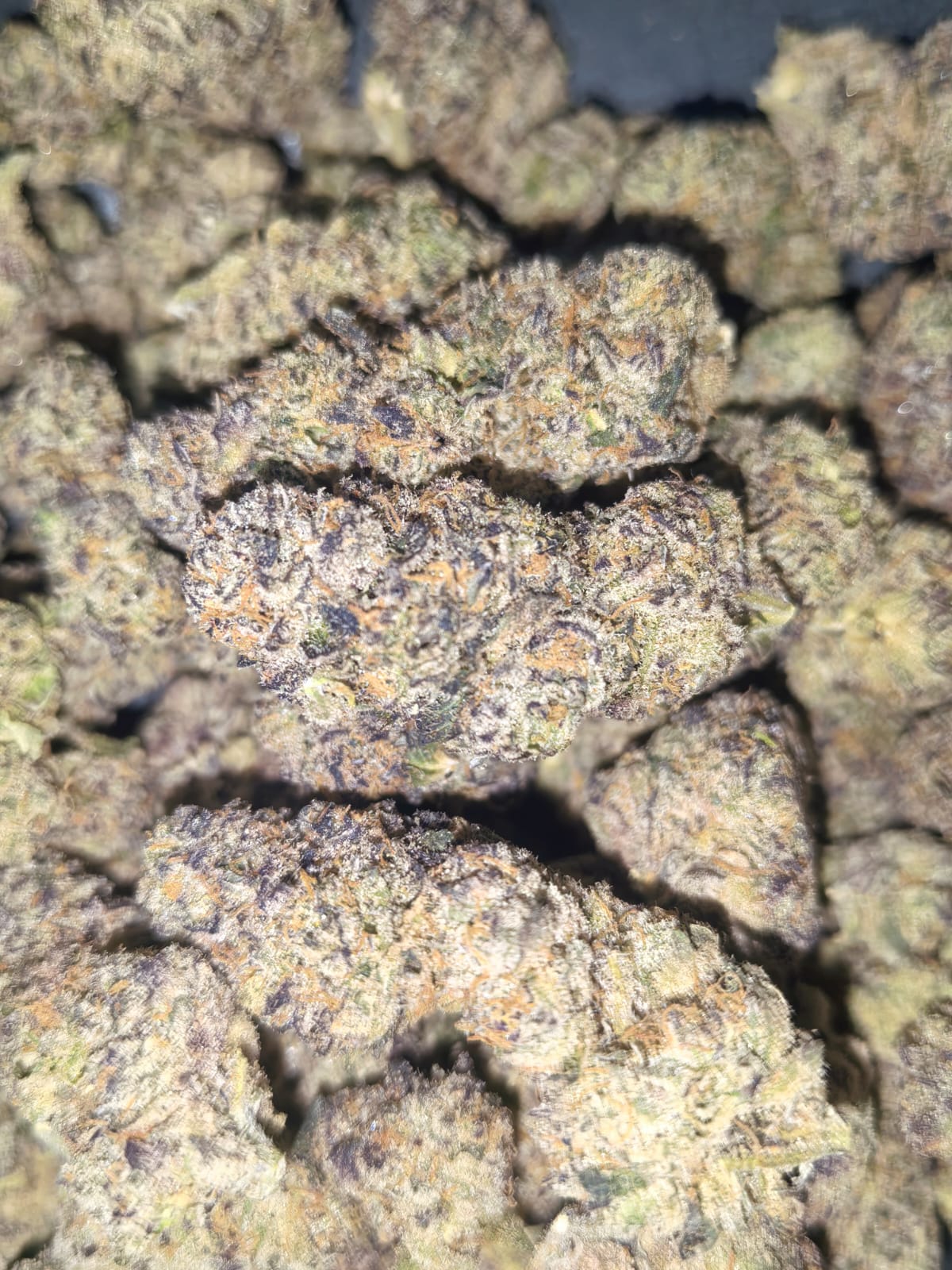 Gas Face OG 💨👾 (price per  gram)
