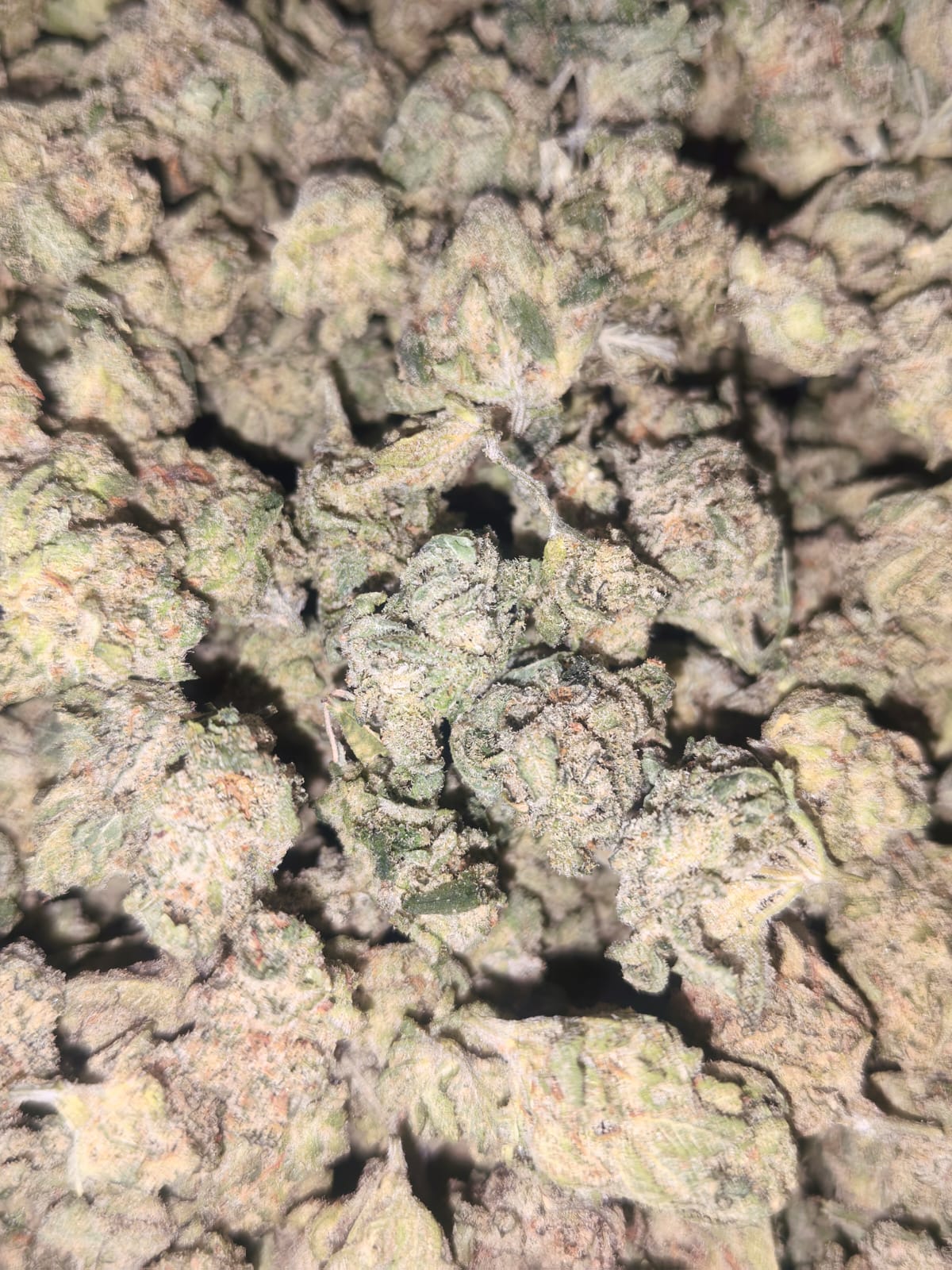 Banana Haze  🍌🍌  (PopCorn)( price per 2 grams)