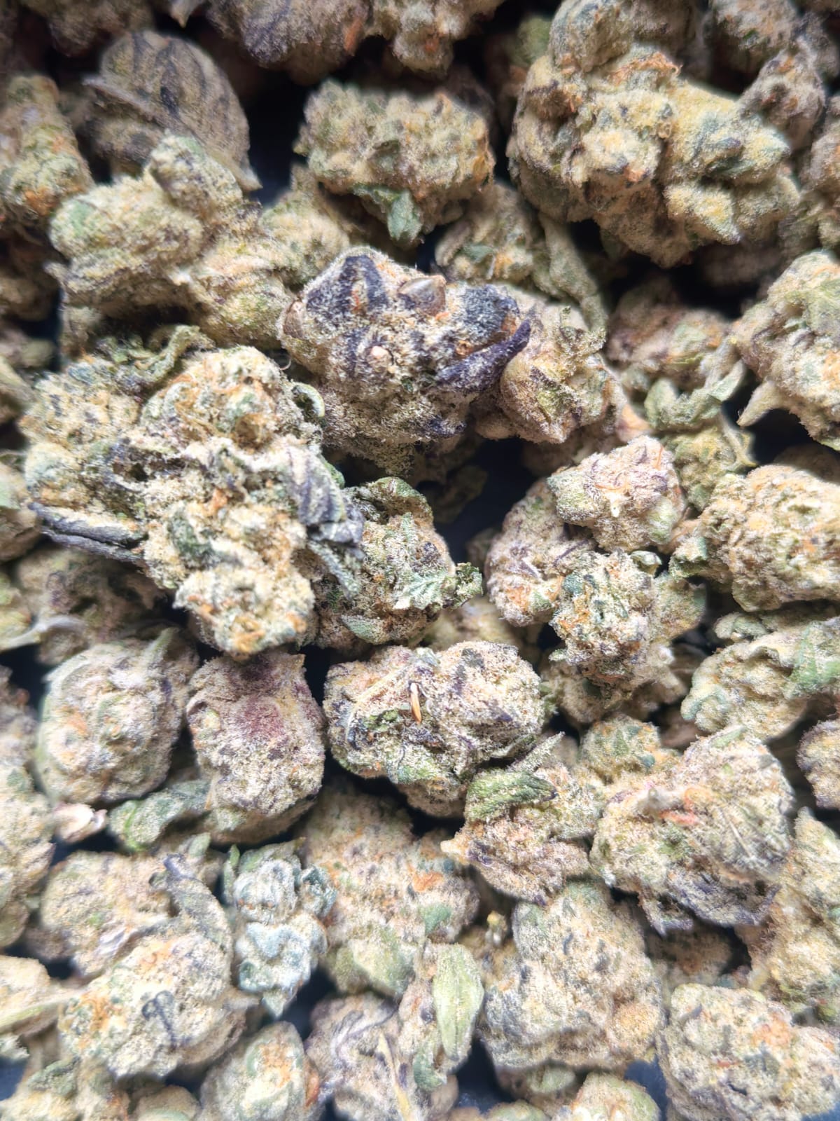 Runtz (PopCorn)🌿🌿 (price per 5 grams)