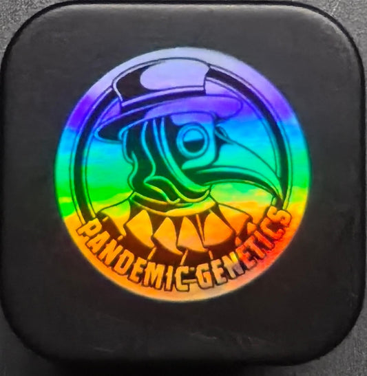 Pandemic Genetics - Indoor LIVE Hash Rosin  (RS11 Flavour)🤤🥵