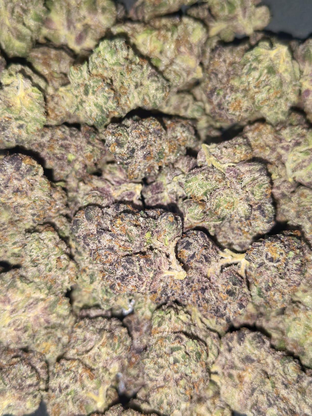 Tropicana Cherry🌴🍹(price per gram)